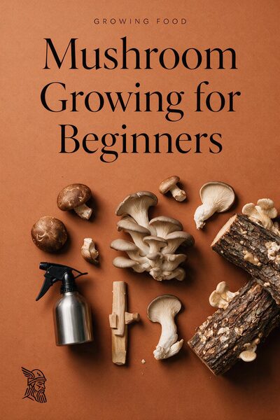 Mushroom Growing for Beginners