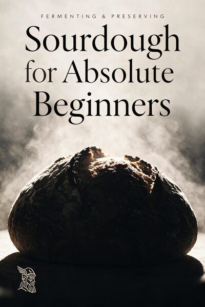 Sourdough for Absolute Beginners