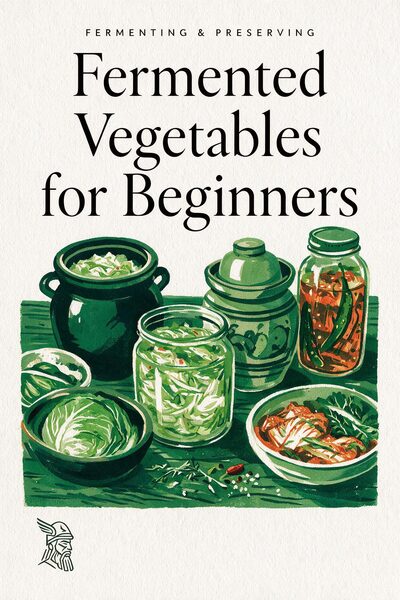 Fermented Vegetables for Beginners