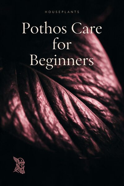 Pothos Care for Beginners